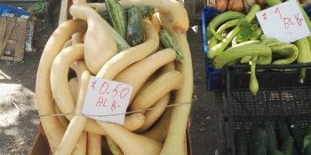 Goûter les spécialités piémontises lors de ce voyage à vélo