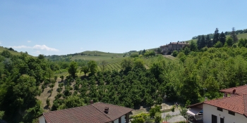 Profiter des vues magnifiques sur les vignobles pendant ce voyage à vélo au Piémont