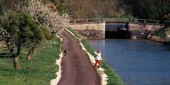 The itinerary follows the Burgundy canal on a quiet path