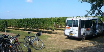 Cycle through Bordeaux famous wine region