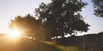 Sunset in Dordogne's countryside