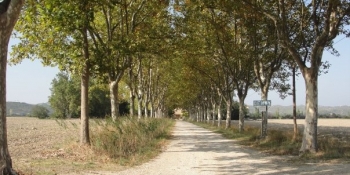 Traffic-free roads through the Alpilles in Provence