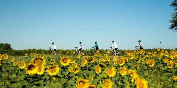 Provence is an ideal destination for a family self-guided bike tour