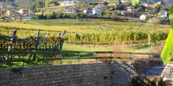 Biking along the countryside vineyards in Veneto