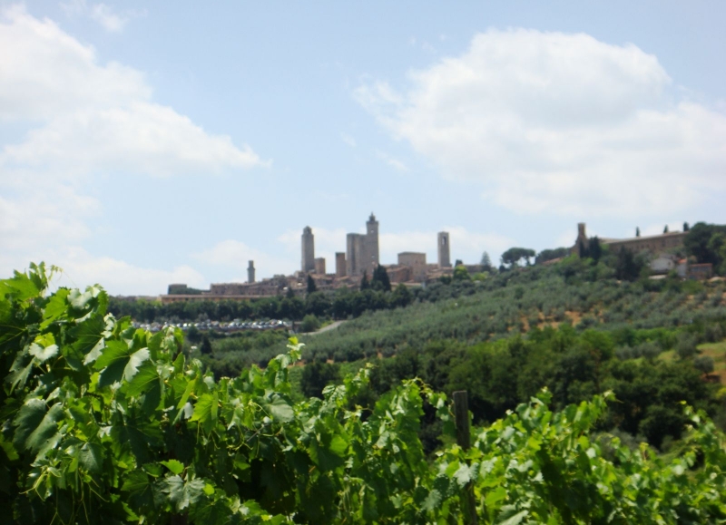 Parcourez les vignobles de la campagne toscane à vélo