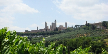 Cycle the vineyards of the Tuscan countryside