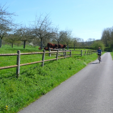 self guided bike tours switzerland