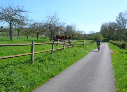 Ce tour cycliste traverse le bocage normand et ses vergers 