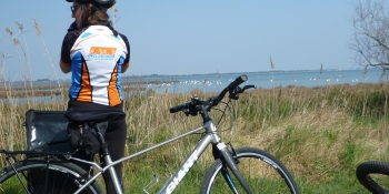 Observing the pink flamingos from the bike path