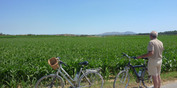 Stop for a break to admire the countryside of Empordà