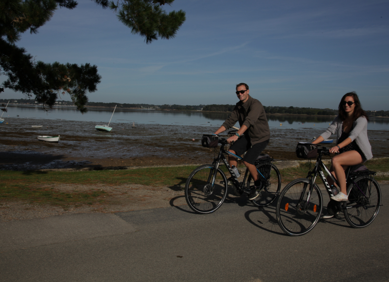 Roulez sur des petites routes tranquilles au bord du Golfe du Morbihan pendant ce voyage à vélo