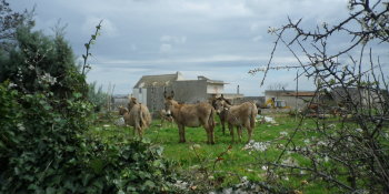 Rouler à côté des fermes dans les Pouilles pendant ce voyage à vélo