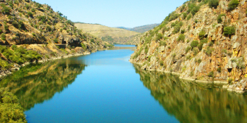 The Douro River