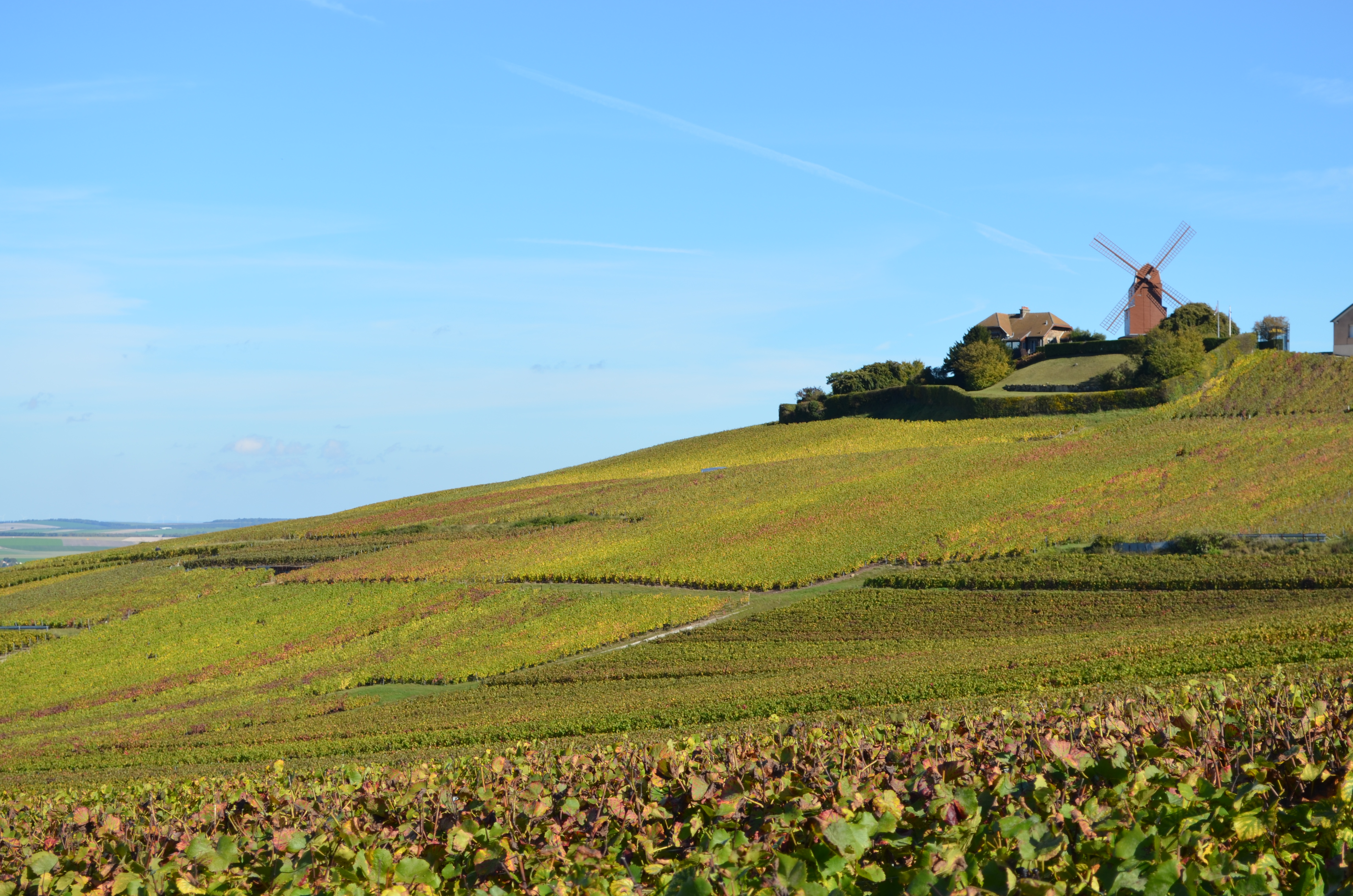 Notre voyage à vélo vous conduira à travers les vignobles de la Champagne entre Reims et Epernay. 