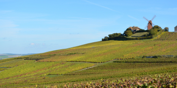 Rouler sur des routes sécondaires à vélo qui traversent la Champagne