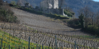 Entre Chambéry et Albertville, vous pédalerez à travers les vignobles de la Combe de Savoie. 
