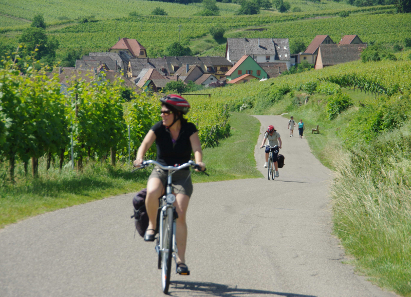 A vélo sur la route des vins