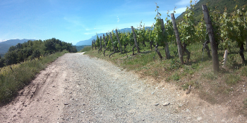 gravel riding, biking, Alps, Bauges, Aix-les-Bains, Chambéry, 