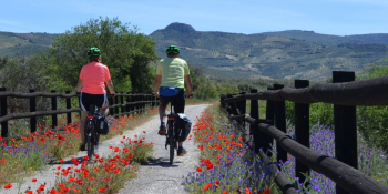 Cyclists on the Vía Verde del Aceite greenway during a self-guided cycling tour through Andalusia, Spain