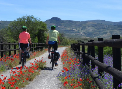 Cyclists on the Vía Verde del Aceite greenway during a self-guided cycling tour through Andalusia, Spain